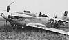     
: P-51D_forced landing_Dana Kay_364th FG.jpg
: 1120
:	58.4 
ID:	1931