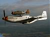     
: P-51D Mustang.jpg
: 1253
:	147.3 
ID:	1743