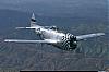     
: P-47_0002.jpg
: 1068
:	235.8 
ID:	2853