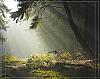     
: forest lights back 1.JPG
: 901
:	105.4 
ID:	7230