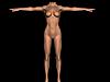     
: bodyrender1.jpg
: 651
:	38.8 
ID:	3049