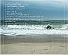     
: ocean back1.JPG
: 1088
:	100.2 
ID:	7172