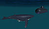     
: whale.jpg
: 1536
:	57.5 
ID:	7793